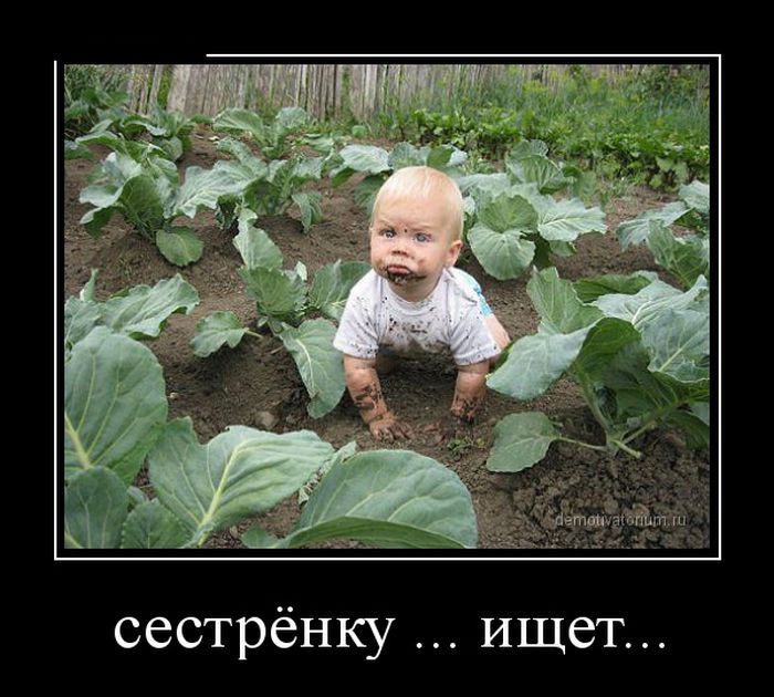 podborka_prikolnyih_demotivatorov_(20_iz_29_foto).jpg