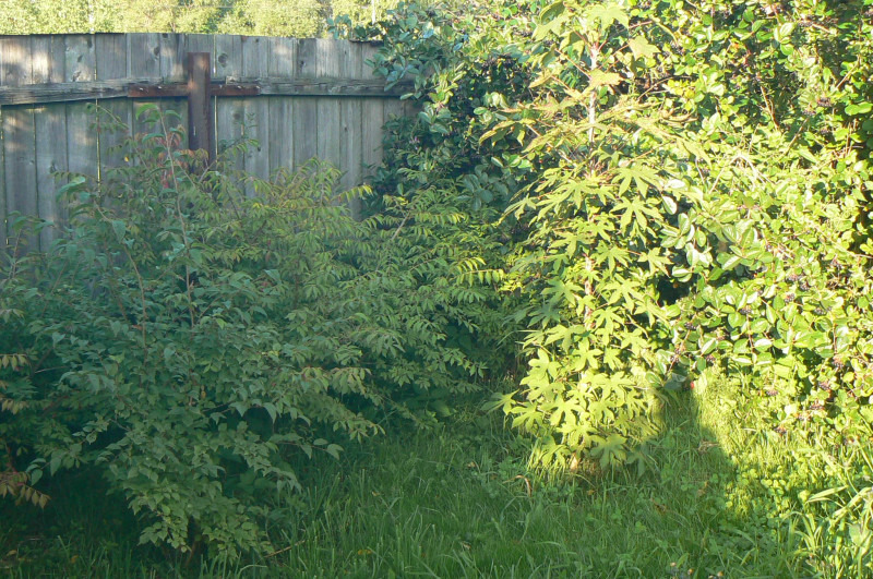 P1460100.JPG