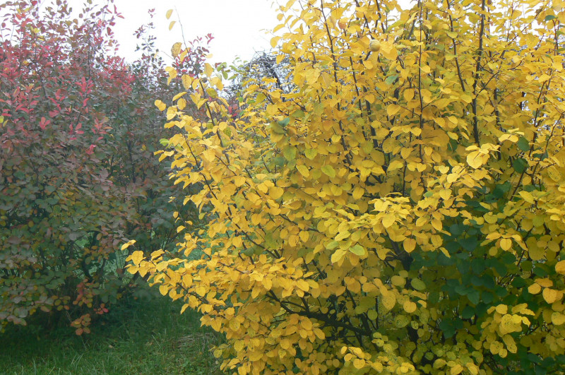 P1470238.JPG