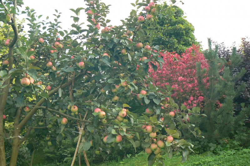 P1460070.JPG