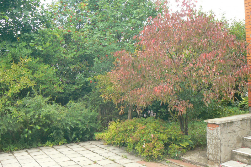 P1450767.JPG