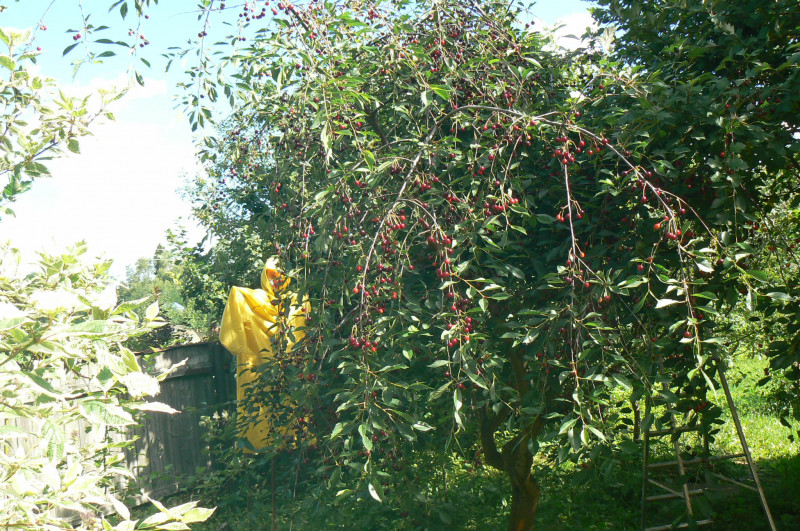P1450140.JPG