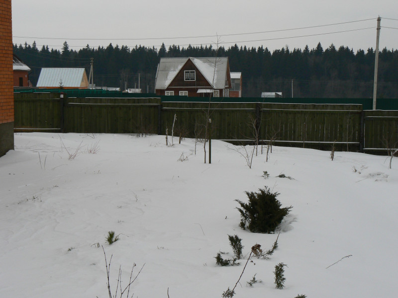 P1000810.JPG