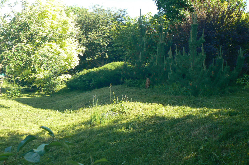 P1430929.JPG
