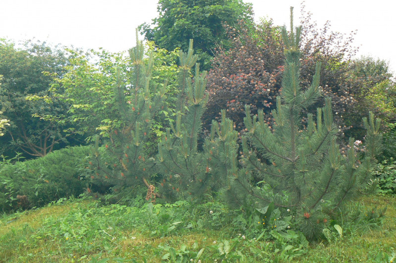 P1440248.JPG