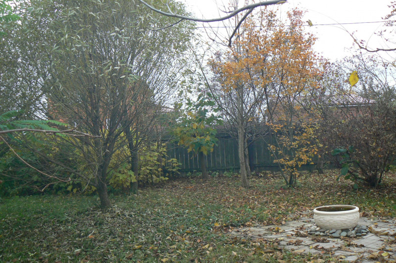 P1470206.JPG
