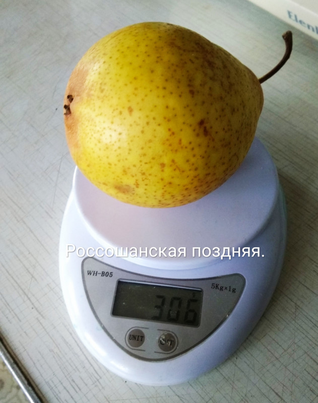 IMG_20191025_132347.jpg
