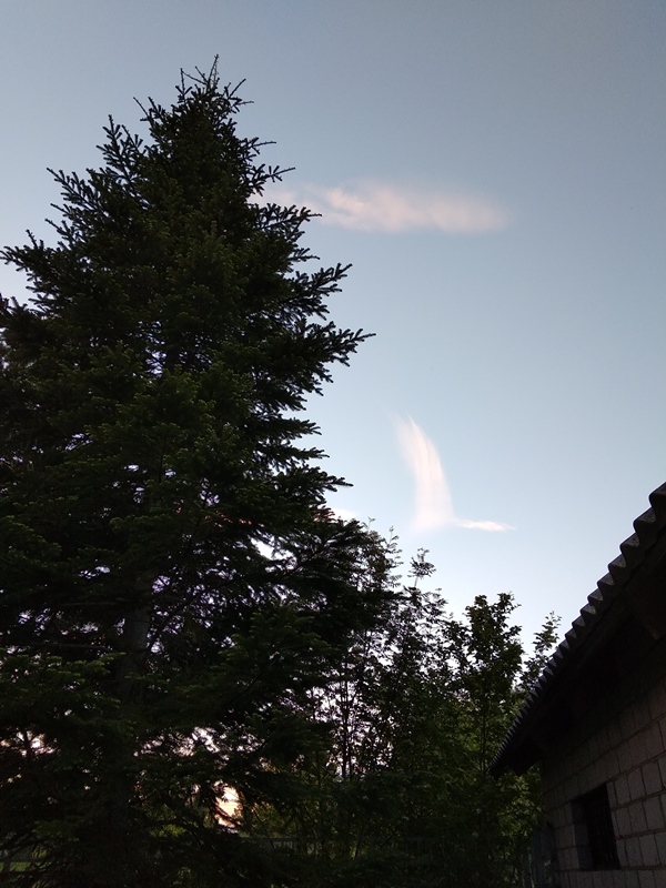 IMG_20190527_203328.jpg