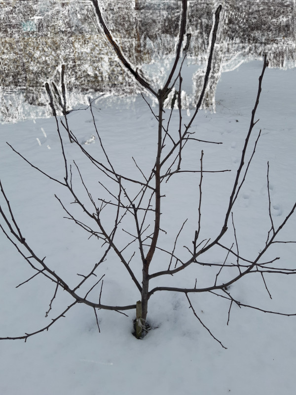 20191207_101354-min.jpg