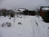 P1020446.JPG