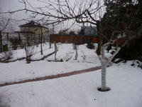 P1020448.JPG