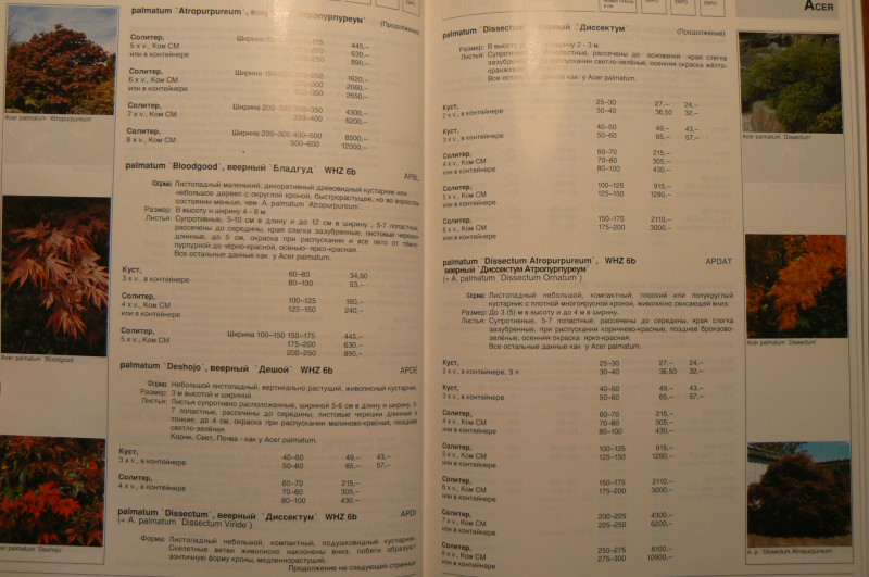 P1470877.JPG