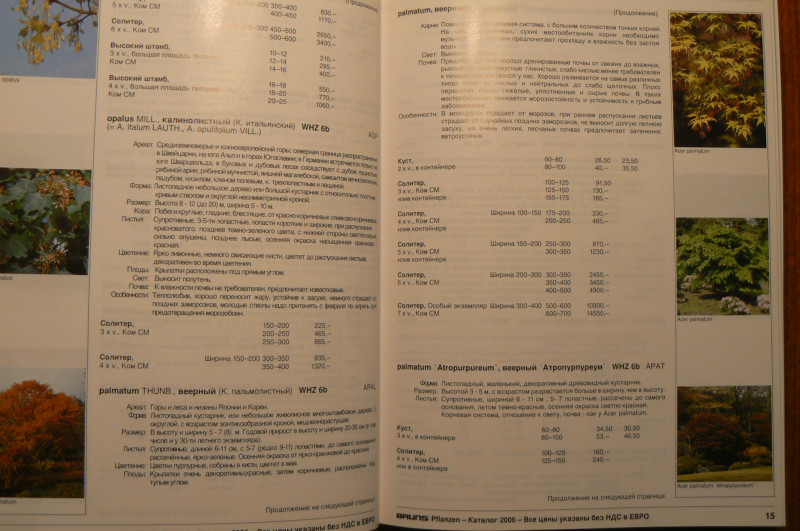 P1470876.JPG