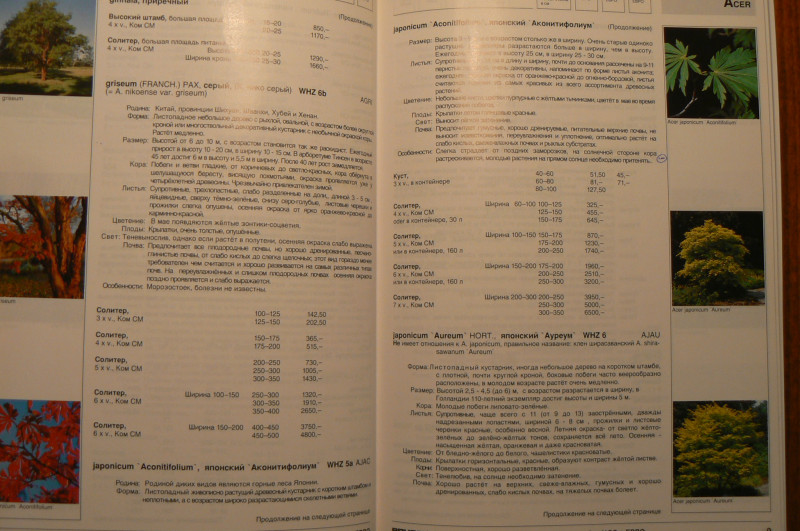 P1470874.JPG
