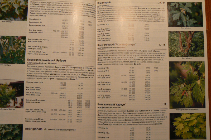 P1470873.JPG