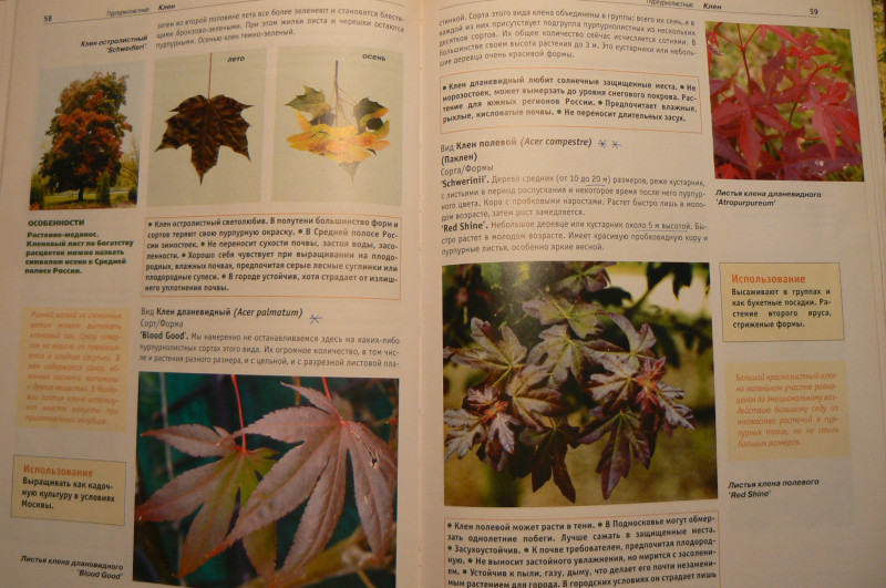 P1470869.JPG