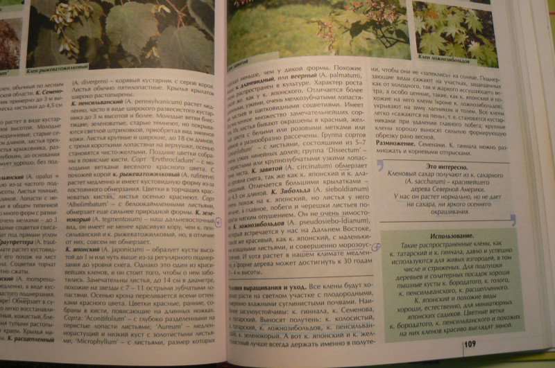 P1470867.JPG