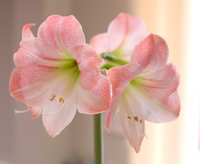 2008_04_13-08-52-22.jpg