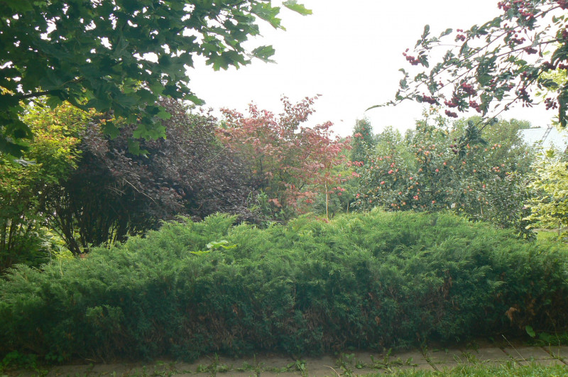 P1450954.JPG