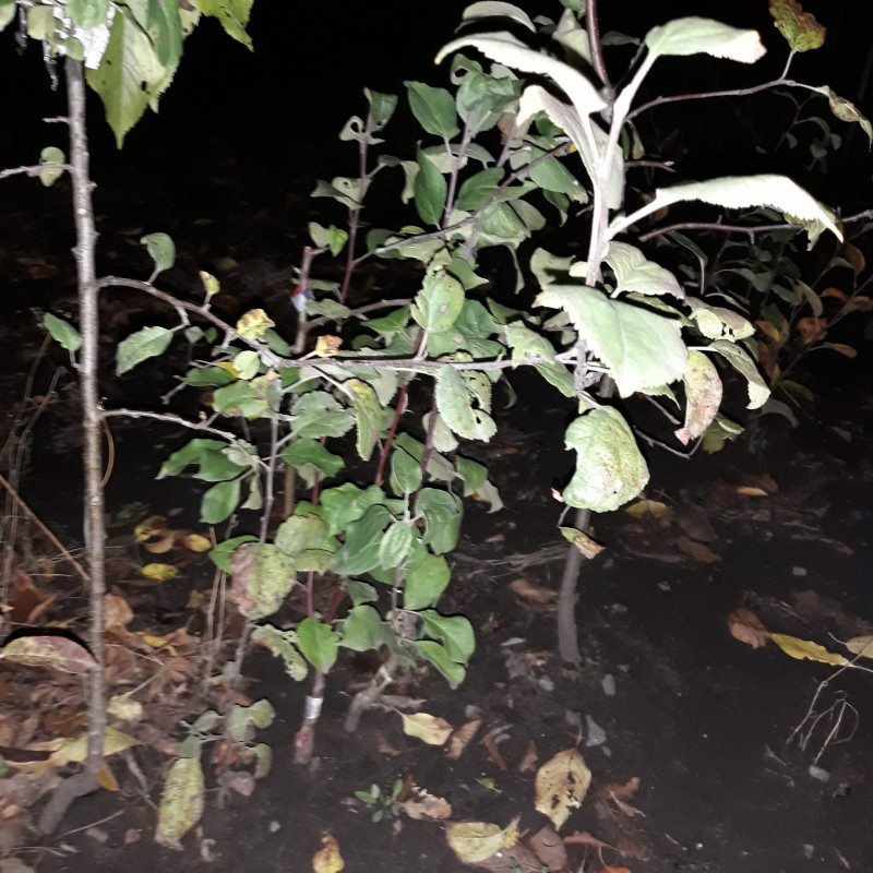 20191011_224148.jpg