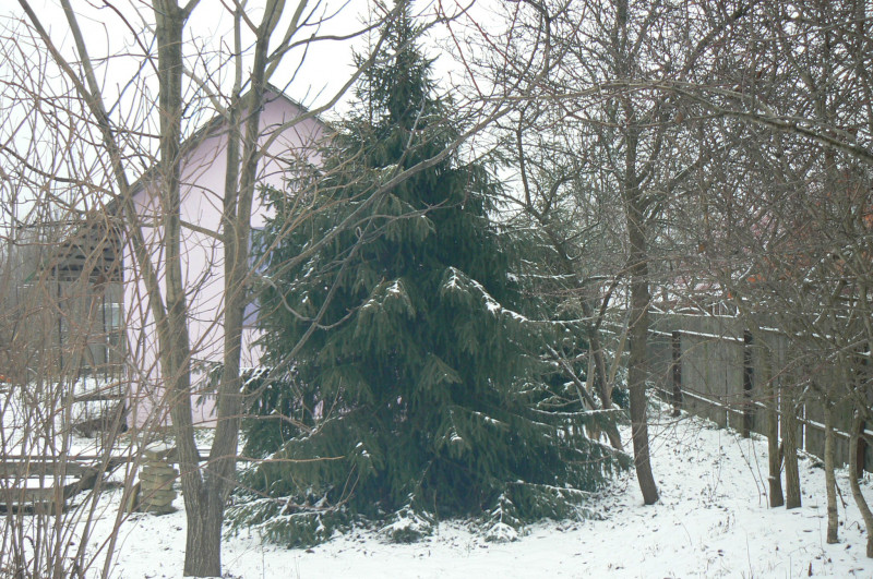 P1480038.JPG