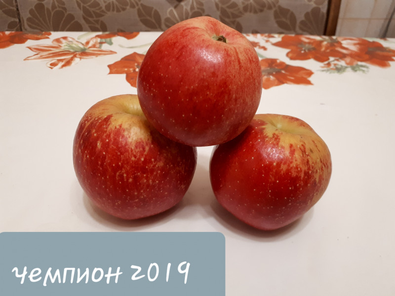 20190923_195530.jpg