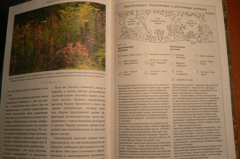 P1480316.JPG
