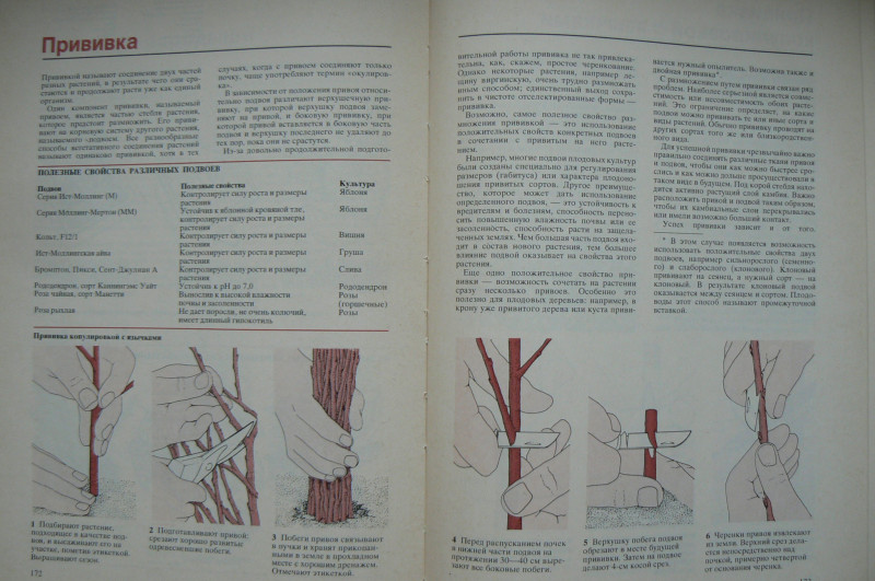 P1480318.JPG
