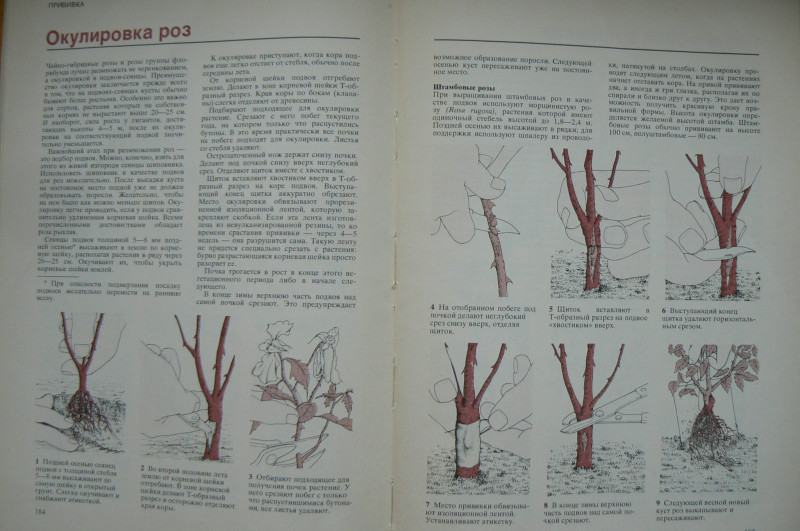 P1480320.JPG