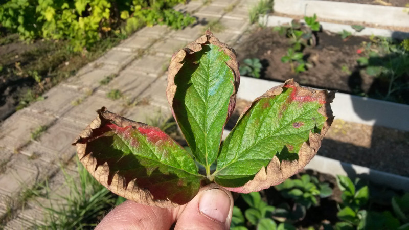 20190831_160815.jpg