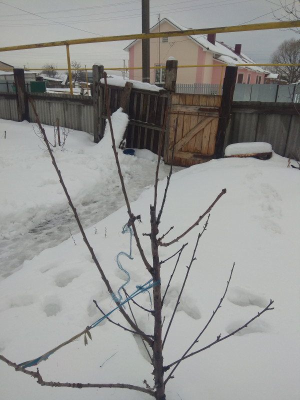 IMG_20200118_104241.jpg