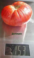 P1010031.JPG