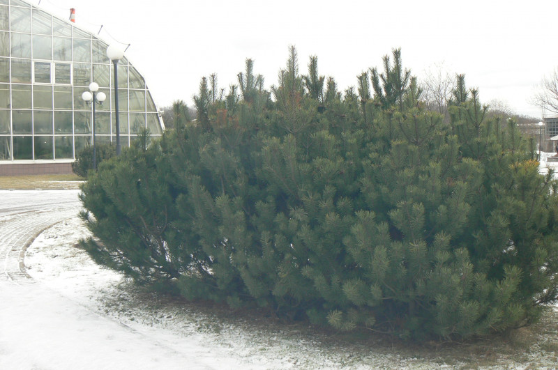 P1480336.JPG