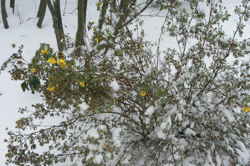 P1280593.JPG