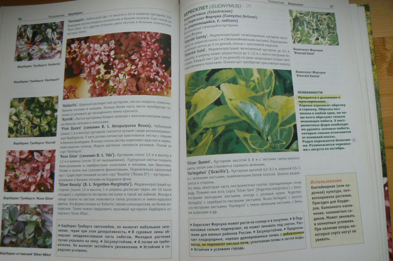 P1480414.JPG