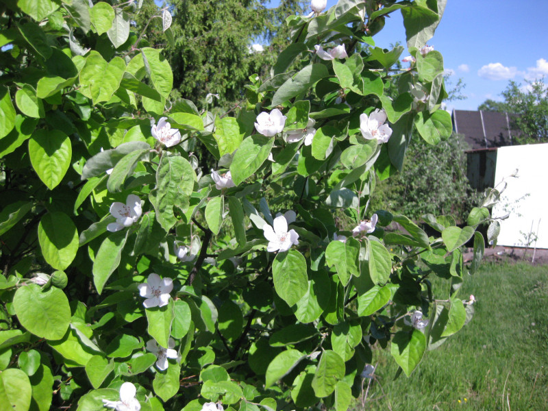 IMG_8056.JPG