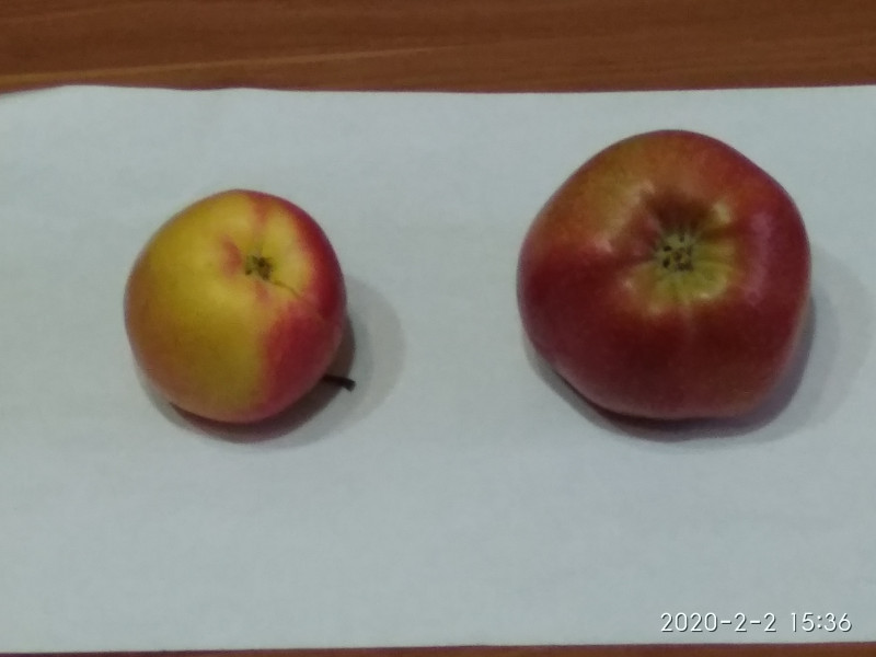 IMG_20200202_153645.jpg