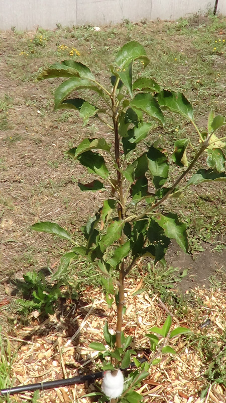 DSC02072.JPG