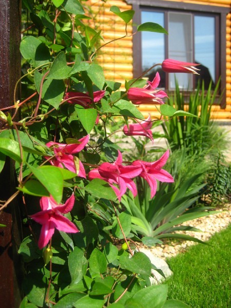d43228a871e4.jpg