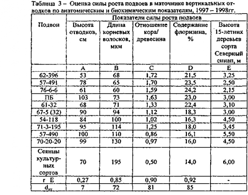 Рост привитых яблони на подвоях.PNG