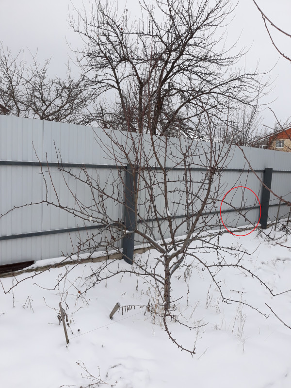 20181216_125735 - копия.jpg