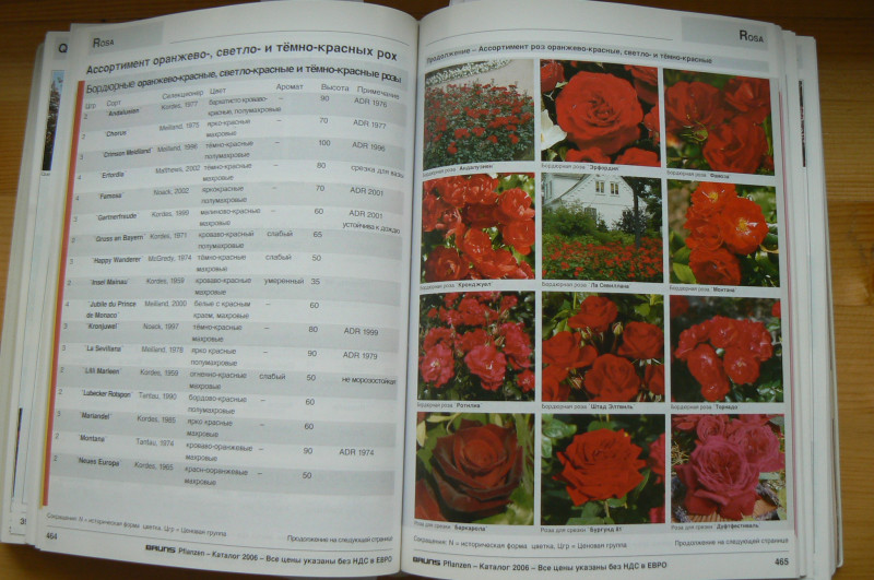 P1480672.JPG