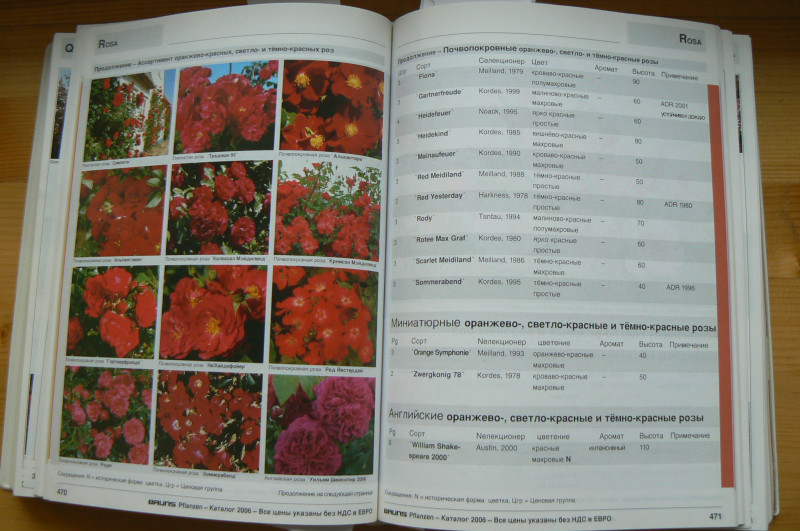 P1480675.JPG