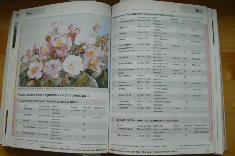 P1480676.JPG