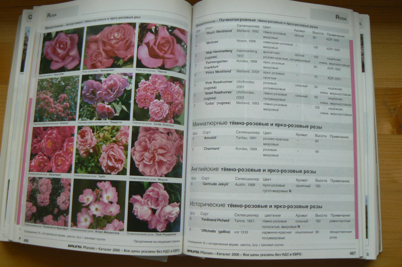 P1480683.JPG