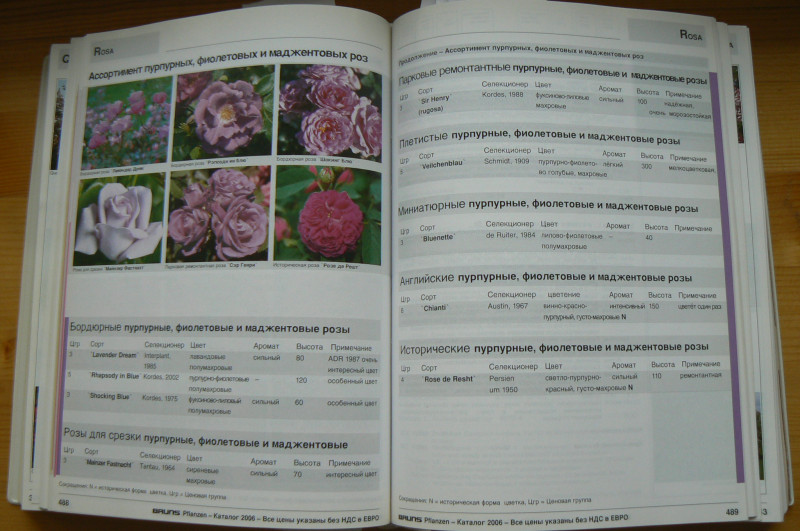P1480684.JPG
