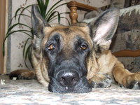 DSCF6169.JPG