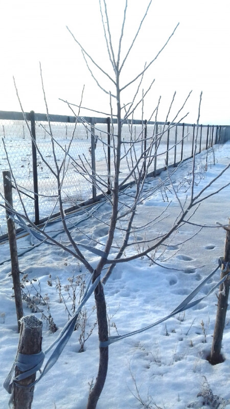 20200221_150151.jpg