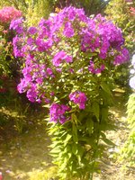 DSC03759.JPG