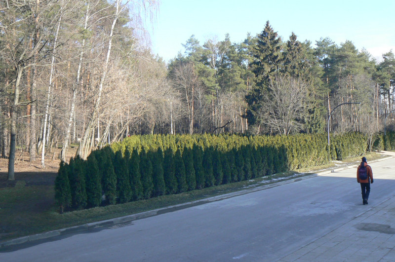 P1480903.JPG